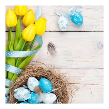 HANKE EASTER NAPKINS WN-72(20PACK)