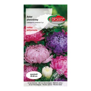 TORSEED ASTER PIWONIOWY SEEDS