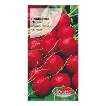 TORSEED RZODKIEWKA CARMEN SEEDS